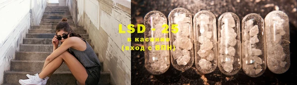 PSILOCYBIN Абдулино