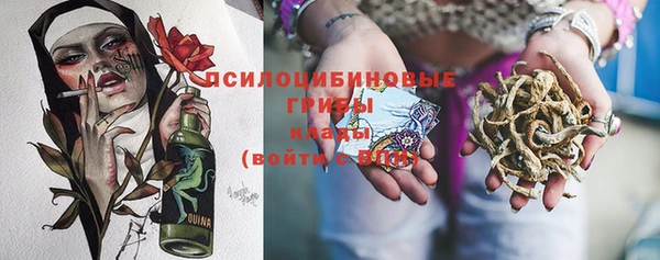 Альфа ПВП Алексин