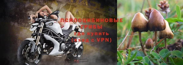 Альфа ПВП Алексин